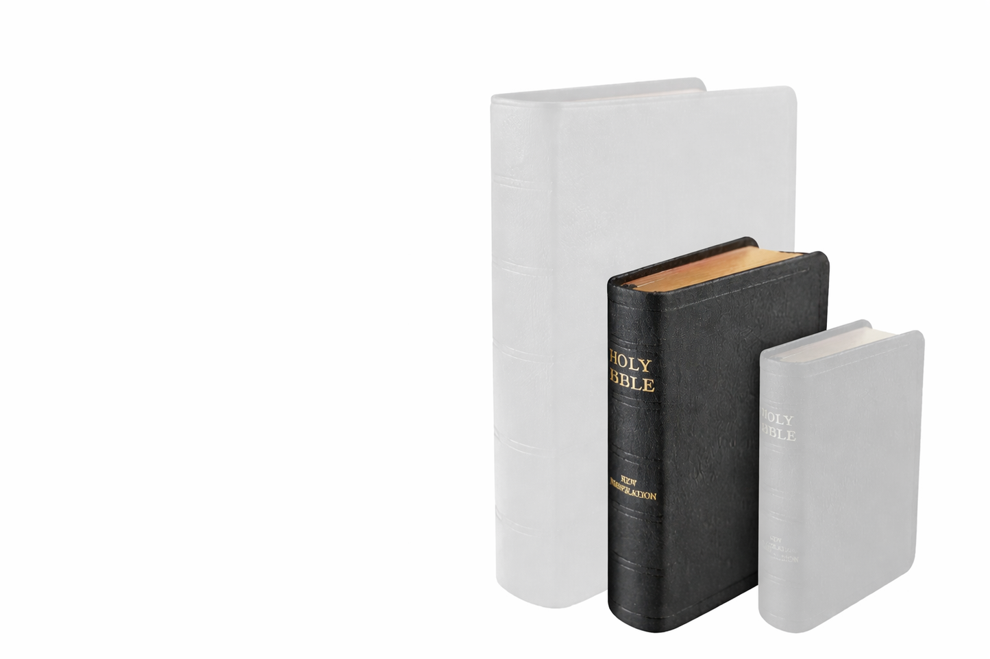 Bible - J.N.Darby No. 25 Genuine black leather cover, semi-yapp, gild edges - pre-used