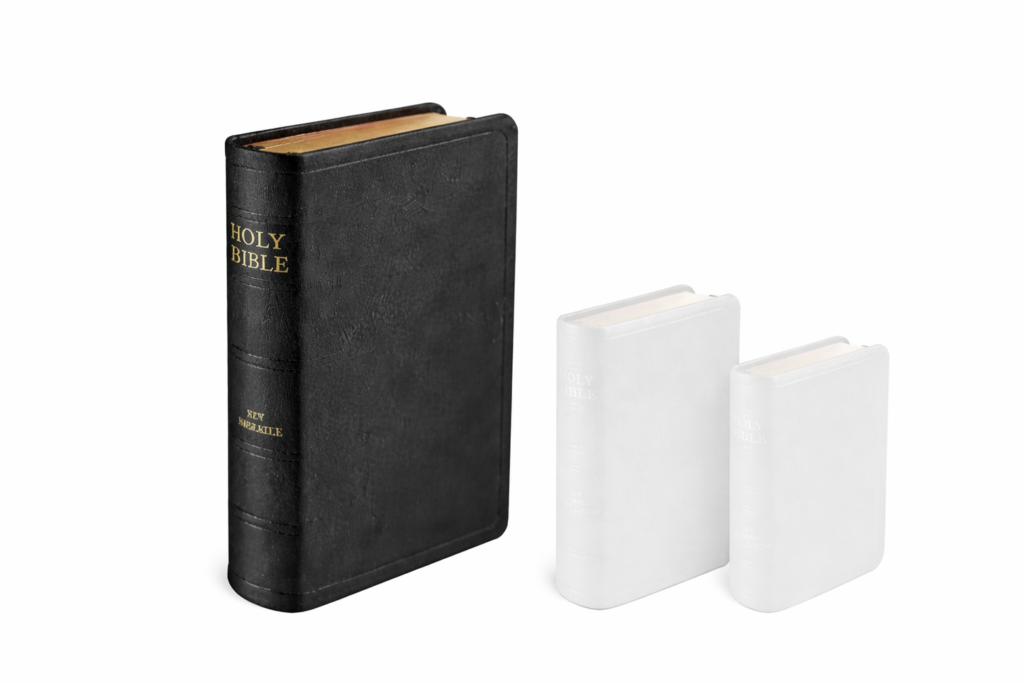 Family Bible - J.N. Darby No. 35 Genuine black leather soft cover, gilt edges, extra large