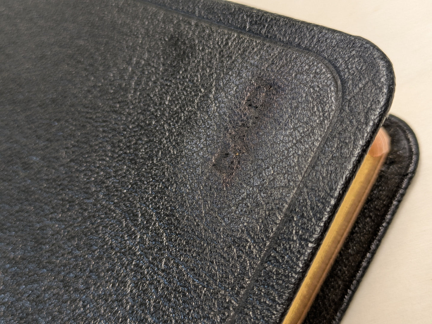 Bible - J.N.Darby No. 25 Genuine black leather cover, semi-yapp, gild edges - pre-used