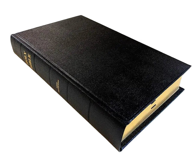 Family Bible - J.N. Darby No. 33 hard board cover, extra large
