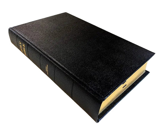 Family Bible - J.N. Darby No. 33 hard board cover, extra large